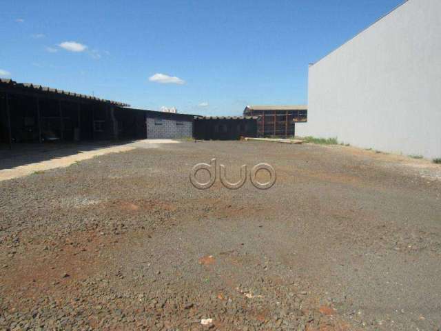 Terreno para alugar, 1500 m² por R$ 14.605,00/mês - Parque Santa Cecília - Piracicaba/SP