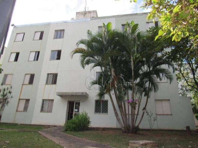 Apartamento com 2 dormitórios para alugar, 52 m² por R$ 825,00/mês - Jardim Primavera - Piracicaba/SP