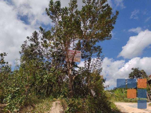 Terreno à venda, 4000 m² por R$ 150.000,00 - Ravena - Sabará/MG