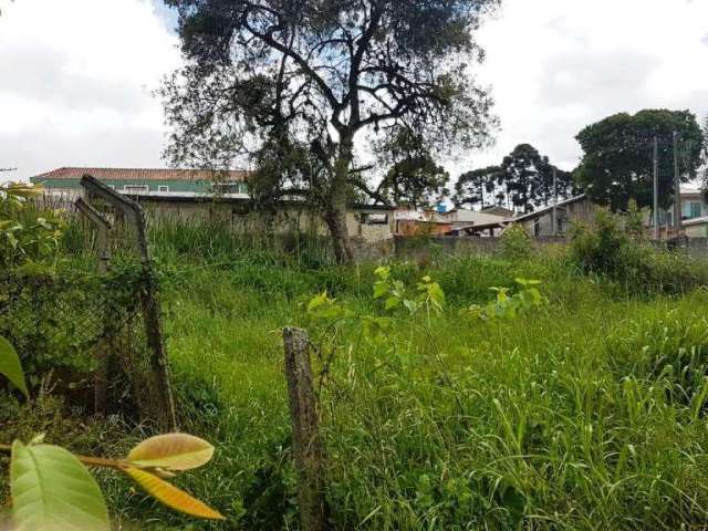 Terreno para Venda em Colombo, Arruda