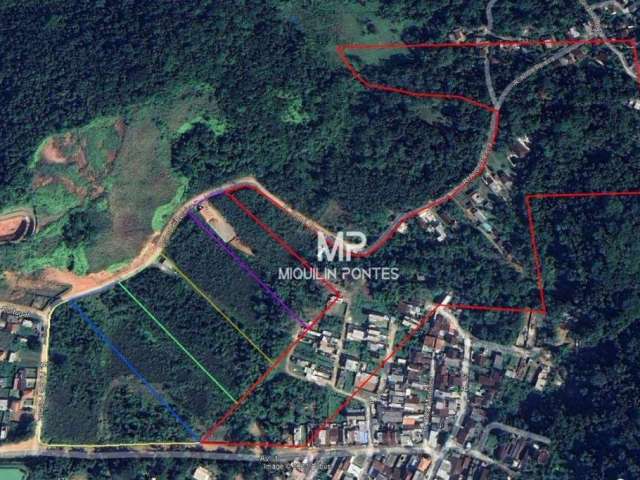 Terreno à venda, 110000 m² por R$ 5.000.000,00 - Maranduba - Ubatuba/SP