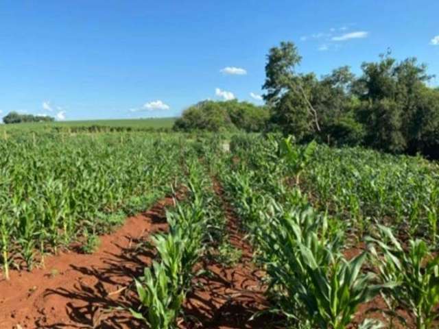 Chácara à venda em Paiçandu - PR