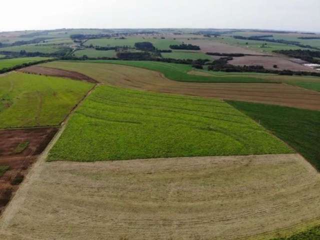 Terrenos à venda em Área Rural Iguaraçu - Maringá - PR