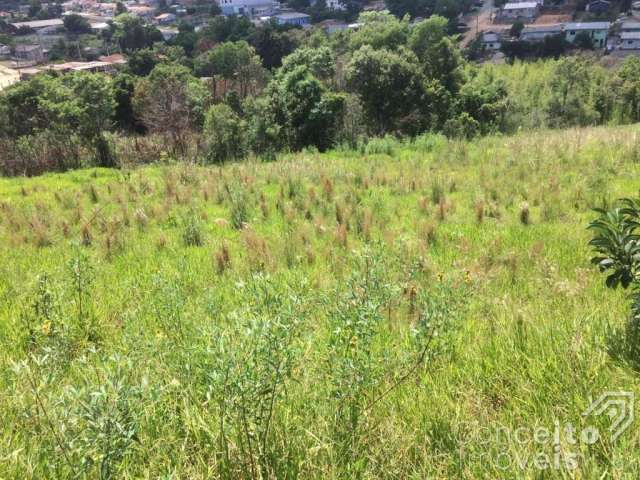 Terreno - Bairro Chapada