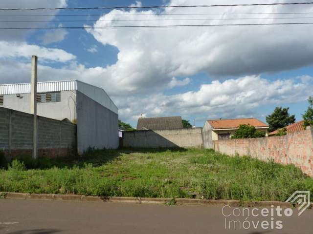 Terreno - Vila São Francisco - Bairro Uvaranas