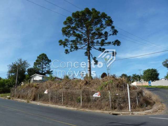 Terreno com 782,70m² - Ronda