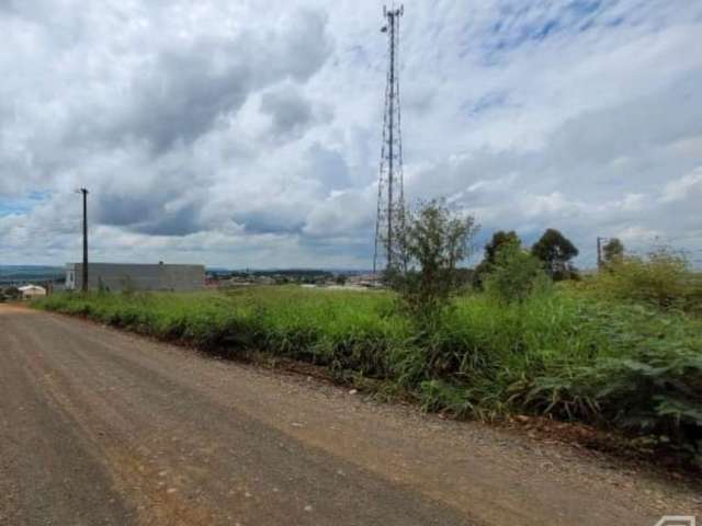 Terreno - Bairro Chapada