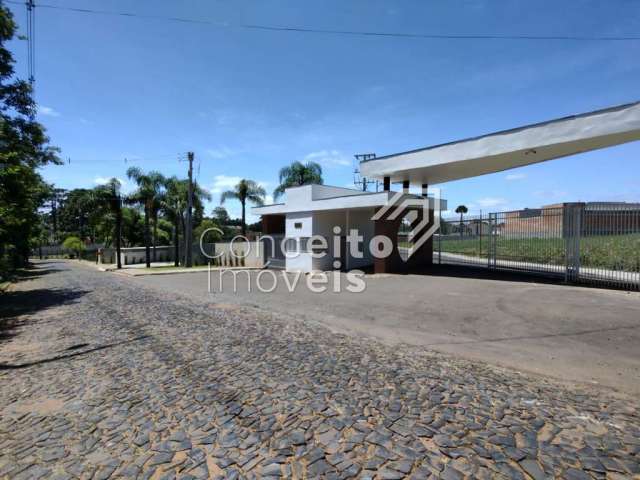 Residencial Van Wilpe - Jardim Carvalho - Terreno