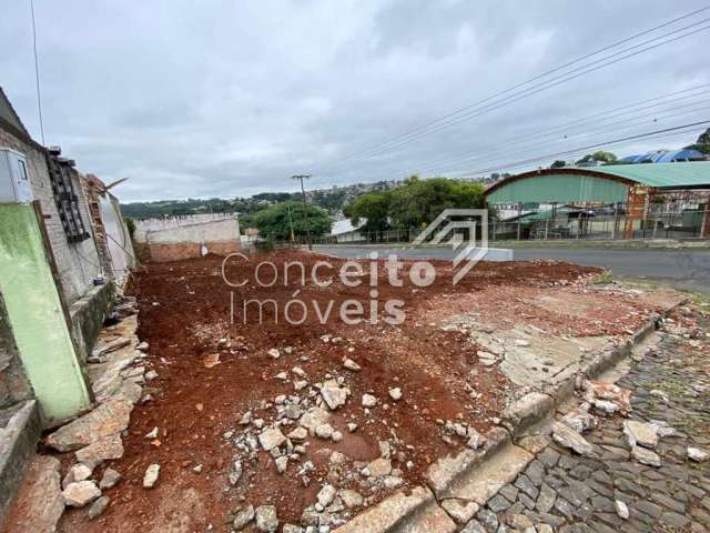 Terreno de Esquina - Santa Paula - Contorno