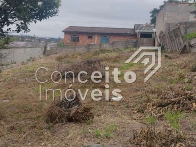 Terreno com 462 m² - Olarias