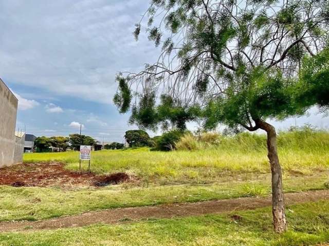 Terreno 318 ㎡ próx ao Pq. Do Japão