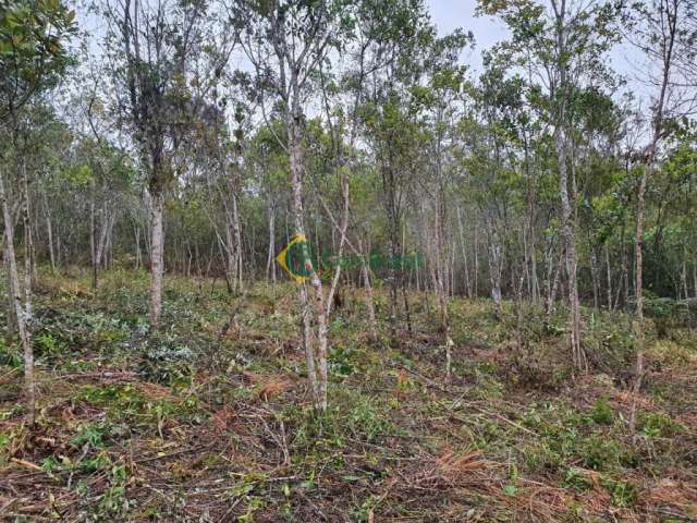 Terreno de 6.000 m2, Quatinga, Mogi das Cruzes