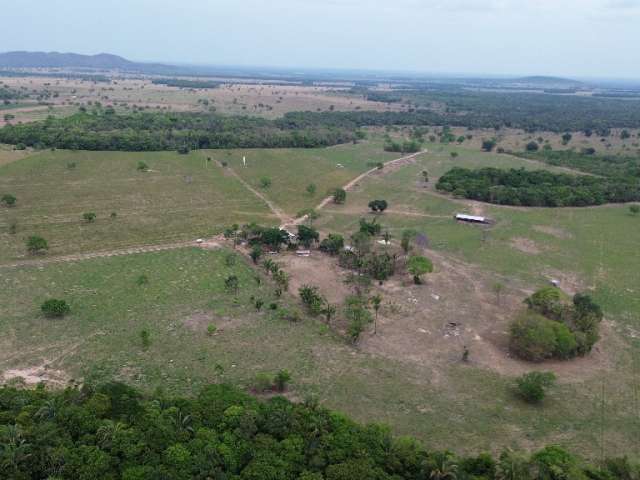 Fazenda 174 hectares - Pronta para Pecuária