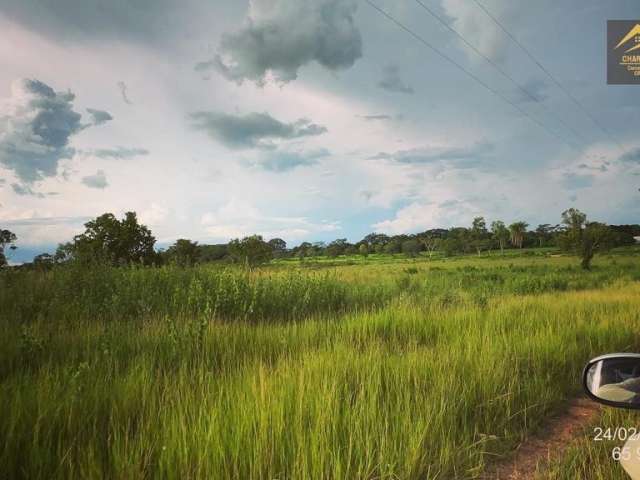 Fazenda 954 hectares - DUPLA APTIDÃO