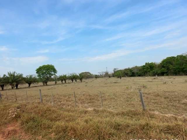 Sitio 80 hectares - Beira Rio ARICA