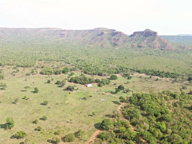 Fazenda 1.883 hectares - _Aptidão para lavoura em 800ha