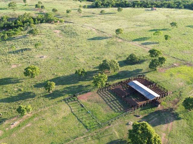 Fazenda Pronta p/ Pecuária - 419 hectares