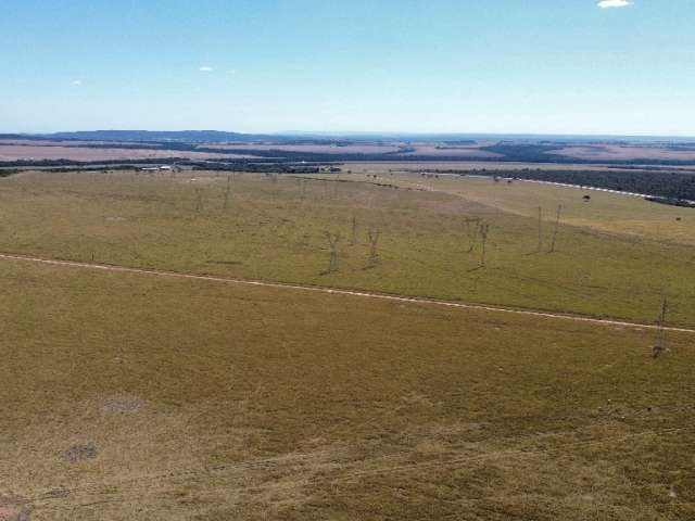 Fazenda 352 hectares - 305 hectares `Pronto para Cultivo