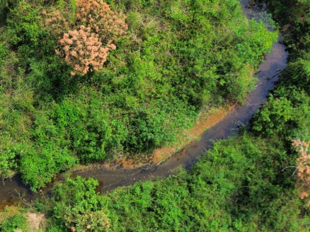 Sítio 11.5 hectares - Em Cuiabá MT | Todo Aberto