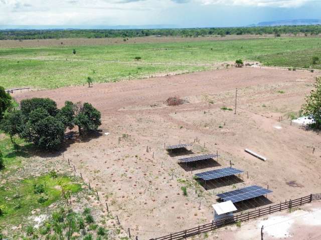 Fazenda 650 hectares com 300 Formados