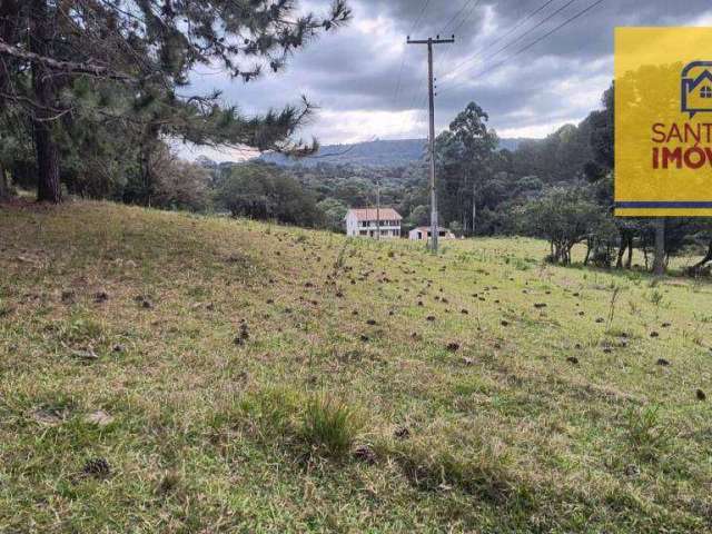 Chácara com 3 dormitórios à venda, 30250 m² por R$ 1.350.000,00 - Zona Rural - Balsa Nova/PR