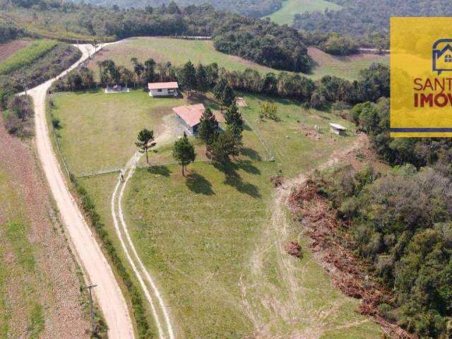 Chácara com 3 dormitórios à venda, 48400 m² por R$ 1.680.000,00 - Felpudo - Campo Largo/PR