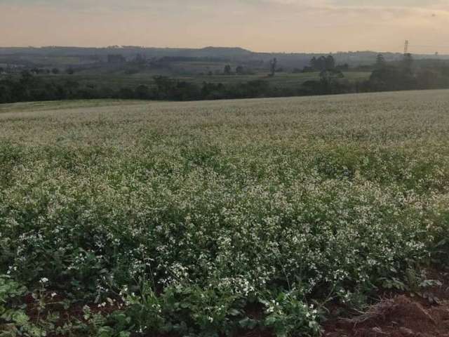 Fazenda em Itapetininga