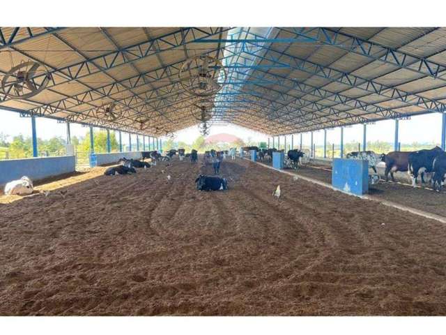 Fazenda em Guaratinguetá 147 hectares -  PORTEIRA FECHADA