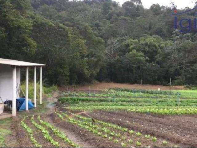 Sitio em Piracaia com 8.000m²  R$ 240.000,00 imóvel com plantação, edificação simples não finalizada apenas 15 km do centro.