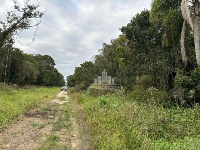 Terreno à venda na Rua do Linguado, 1, Praia do Ervino, São Francisco do Sul por R$ 270.000