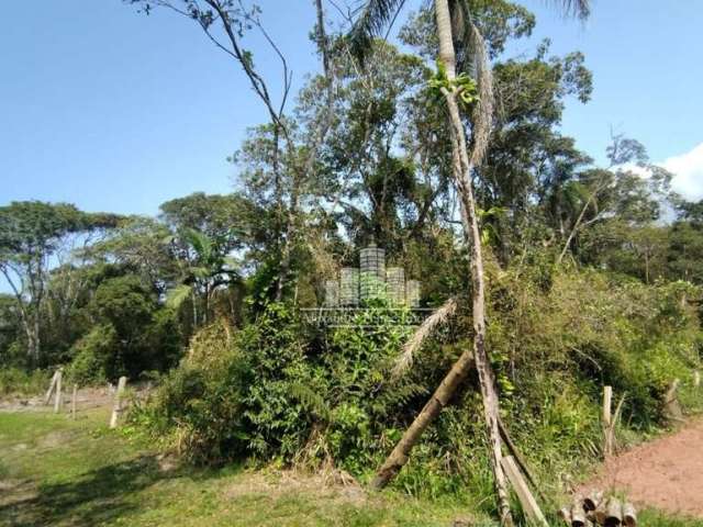 Terreno à venda na Av. Claudiomiro Vizoto, Praia do Ervino, São Francisco do Sul por R$ 80.000