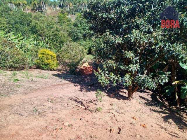 Terreno raridade na serra da cantareira