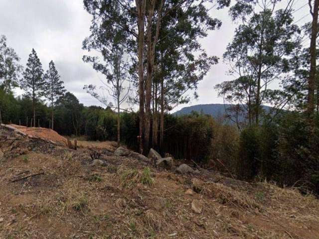 Terreno à venda, 800 m² por R$ 100.000 - Olho D'Água - Mairiporã/SP