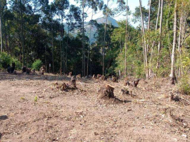 Terreno à venda, 665 m² por R$ 60.000 - Mato Dentro - Mairiporã/SP