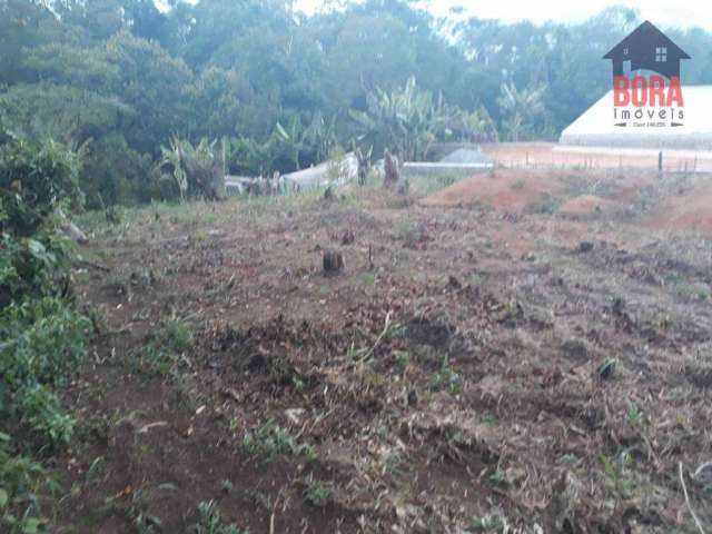 Terreno à venda, 250 m² por R$ 80.000,00 - Cabreúva - Mairiporã/SP