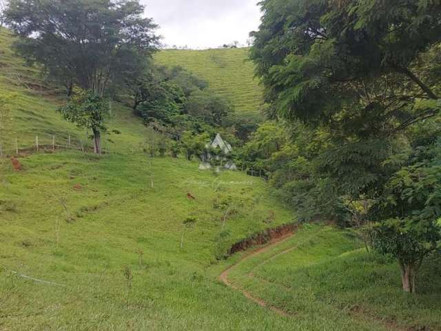 Sítio para Venda em São Sebastião, Sertão do Camburi, 4 dormitórios, 2 suítes, 1 banheiro