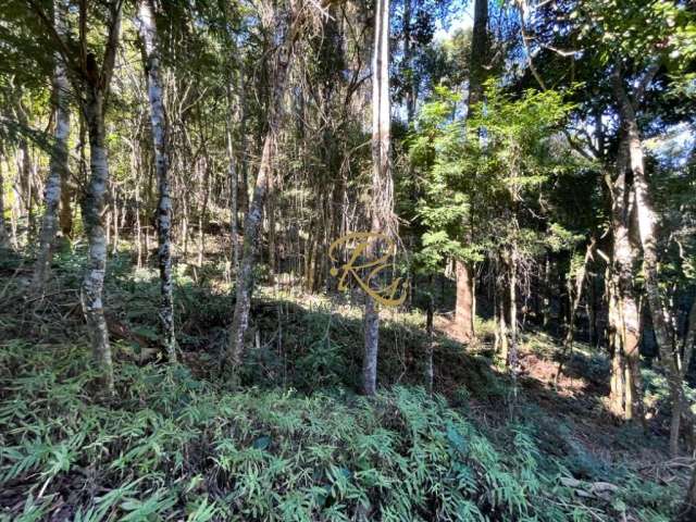 Terreno à venda na Rua dos  Angicos, 233, Agriões, Teresópolis por R$ 440.000