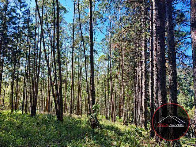 Sítio à venda, 648000 m² por R$ 800.000,00 - Quatinga - Mogi das Cruzes/SP