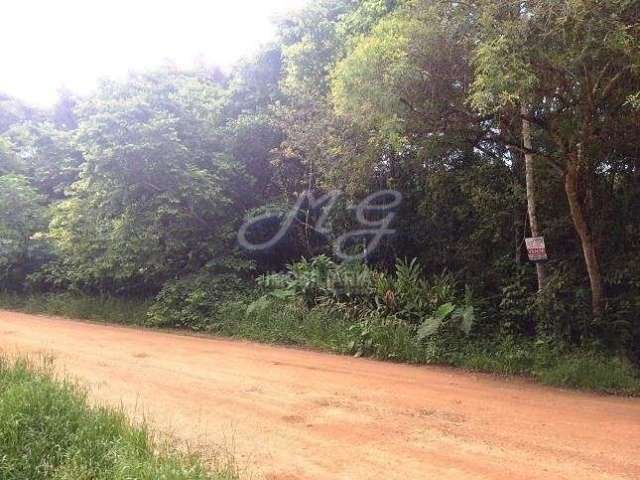 Terreno à venda no bairro Canguiri em Colombo/PR