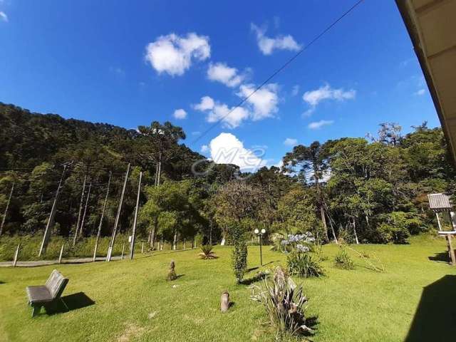 Chácara à venda no bairro Zona Rural em Campina Grande do Sul/PR