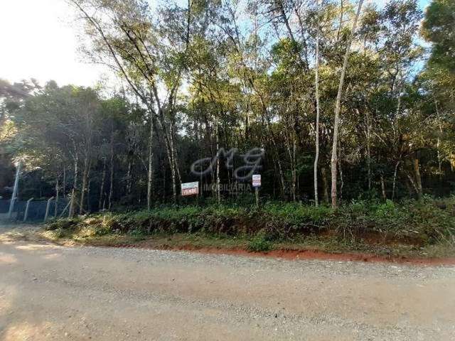 Terreno à venda no bairro Timbú em Campina Grande do Sul/PR