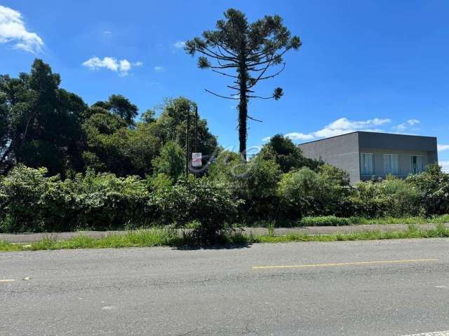 Terreno à venda no bairro Jardim Menino Deus em Quatro Barras/PR