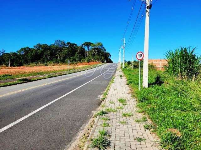 Terreno à venda no bairro Araçatuba em Campina Grande do Sul/PR