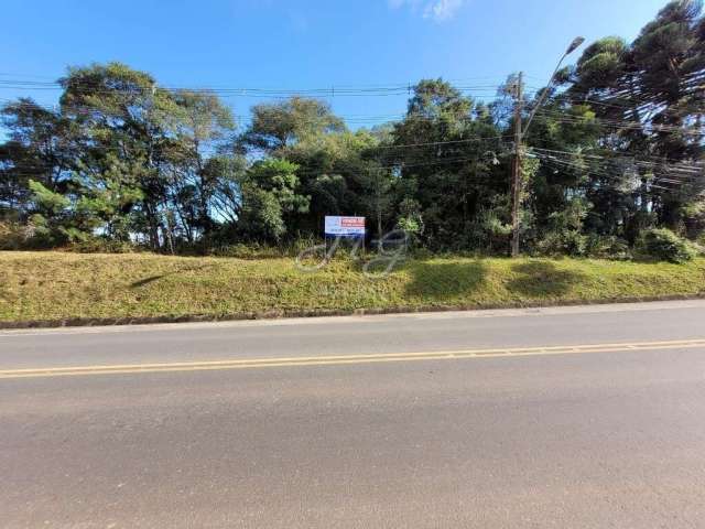 Terreno à venda no bairro Araçatuba em Campina Grande do Sul/PR