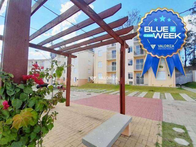 Blue Week *6 Primeiros meses IPTU/2025 Grátis* Apartamento com 2 quartos para alugar