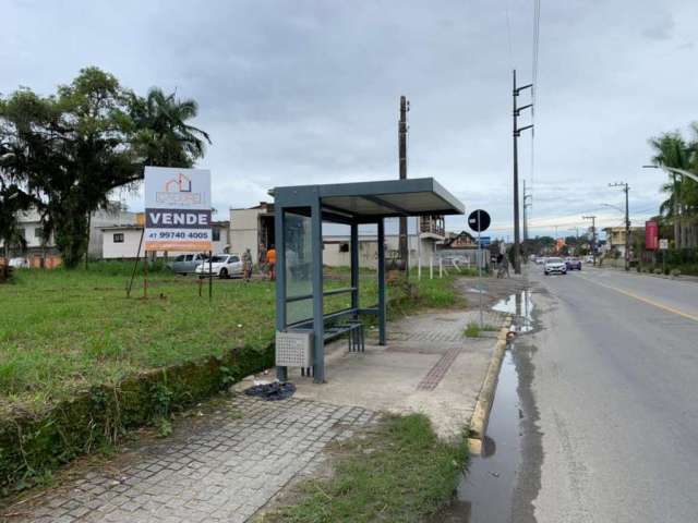 Terreno para Venda em Joinville, Anita Garibaldi