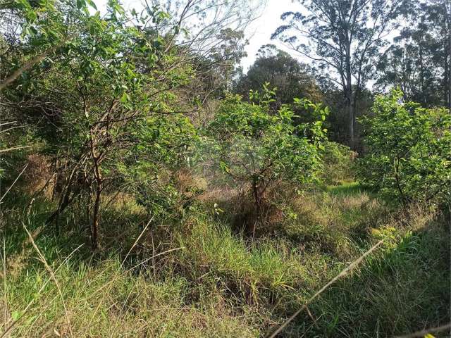 Terreno à venda em Bosque Dos Eucalíptos - SP