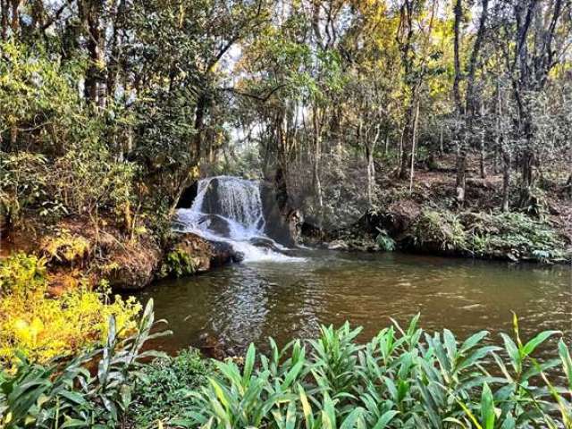 Sítio com 4 quartos à venda em Moinho - SP