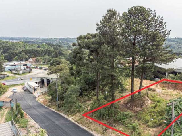 Terreno/Área no Lamenha Grande de 450,00 m²  - 93096.005-KD