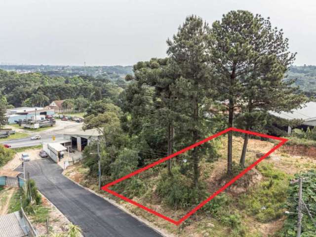 Terreno/Área no Lamenha Grande de 450,00 m²  - 93096.006-KD